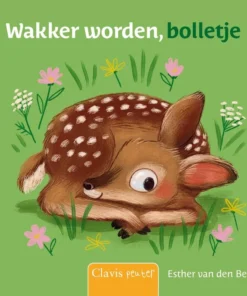 Wakker worden, bolletje