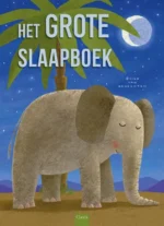 Het grote slaapboek | 9789044857603