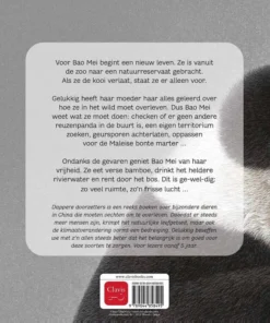 Alternative view of De reuzenpanda. Welkom thuis, Bao Mei