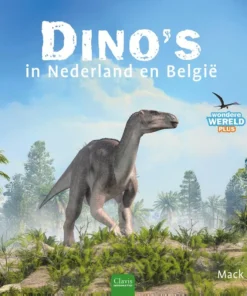 Dino's in Nederland en België