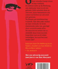 Alternative view of De melkweg