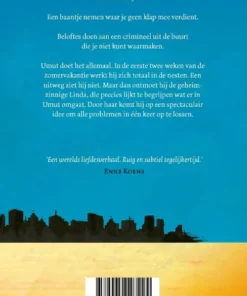 Alternative view of Vliegen