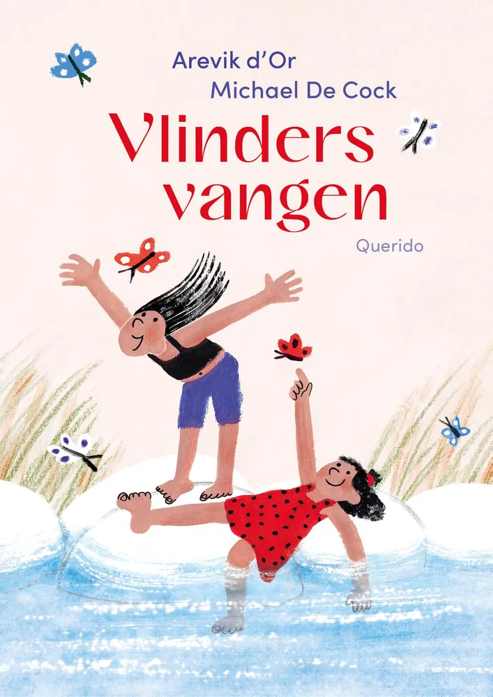 Vlinders vangen | 9789045132082 Vlinders vangen