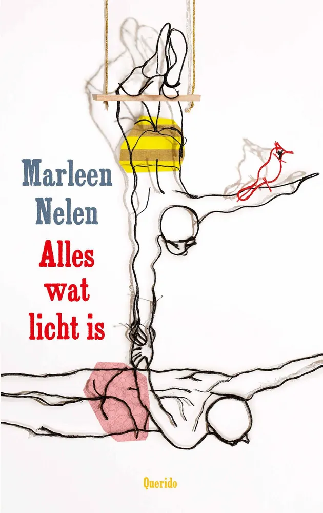 Alles wat licht is | 9789045132440 Alles wat licht is