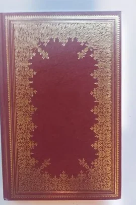 Mijn Gouden Boekje over Frida Kahlo