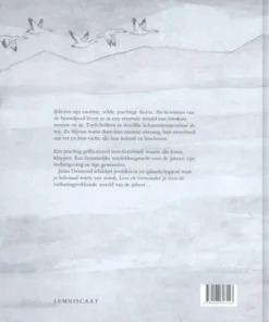 Alternative view of De ijsbeer