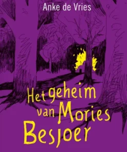 Het geheim van Mories Besjoer