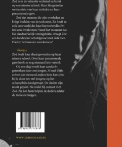 Alternative view of Schuld & Vlinders