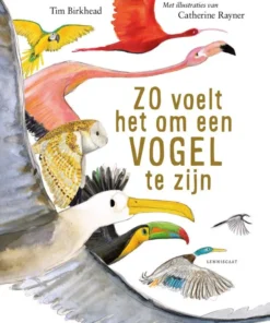 Zo voelt het om een vogel te zijn