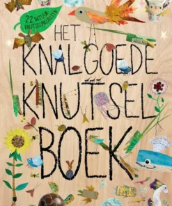 Het knalgoede knutselboek