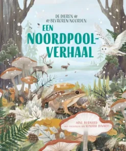 Een Noordpoolverhaal
