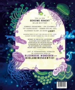 Alternative view of Licht