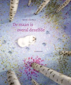 De maan is overal dezelfde