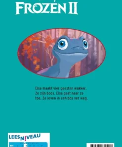 Disney Frozen 2 | 9789047850007