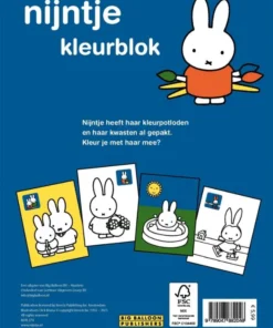 Alternative view of Nijntjes kleurblok