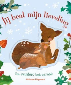 een winters boek vol liefde