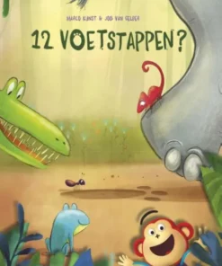 12 voetstappen?