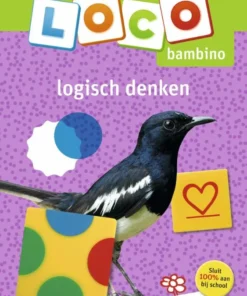 Loco bambino logisch denken
