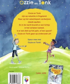 Alternative view of Het vreemde kasteel