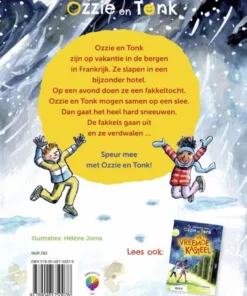 Alternative view of De vreemde berg