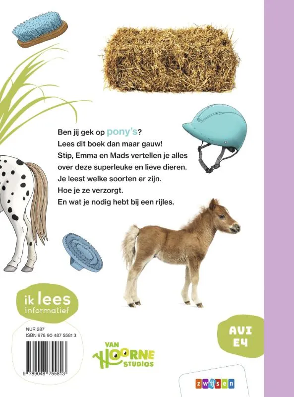 Alles over de pony | 9789048755813 Alles over de pony - Afbeelding 2