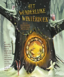 Het wonderlijke winterboek