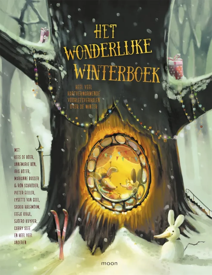 Het wonderlijke winterboek