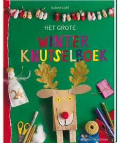Het grote winterknutselboek