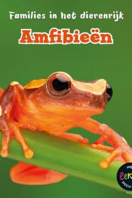 Amfibieën