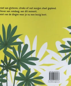 Aap en Panda | 9789056703073