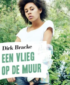 Een vlieg op de muur