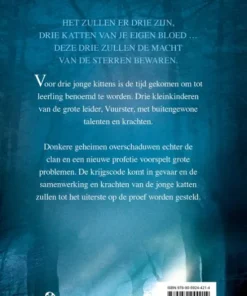 Alternative view of Het tweede gezicht