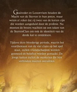 Alternative view of De vierde leerling