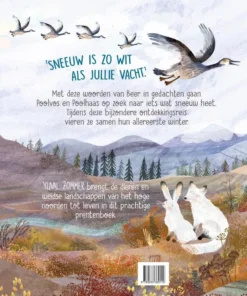 Alternative view of Iets wat sneeuw heet