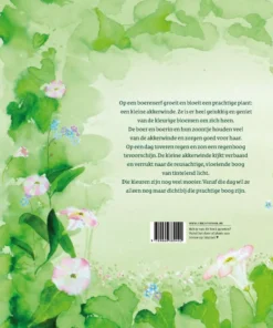 Alternative view of De kleine akkerwinde