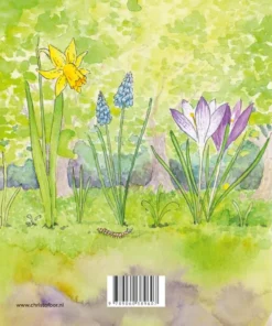 Alternative view of Lente