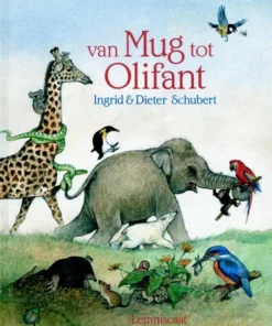Van mug tot olifant