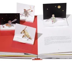 Alternative view of De kleine prins