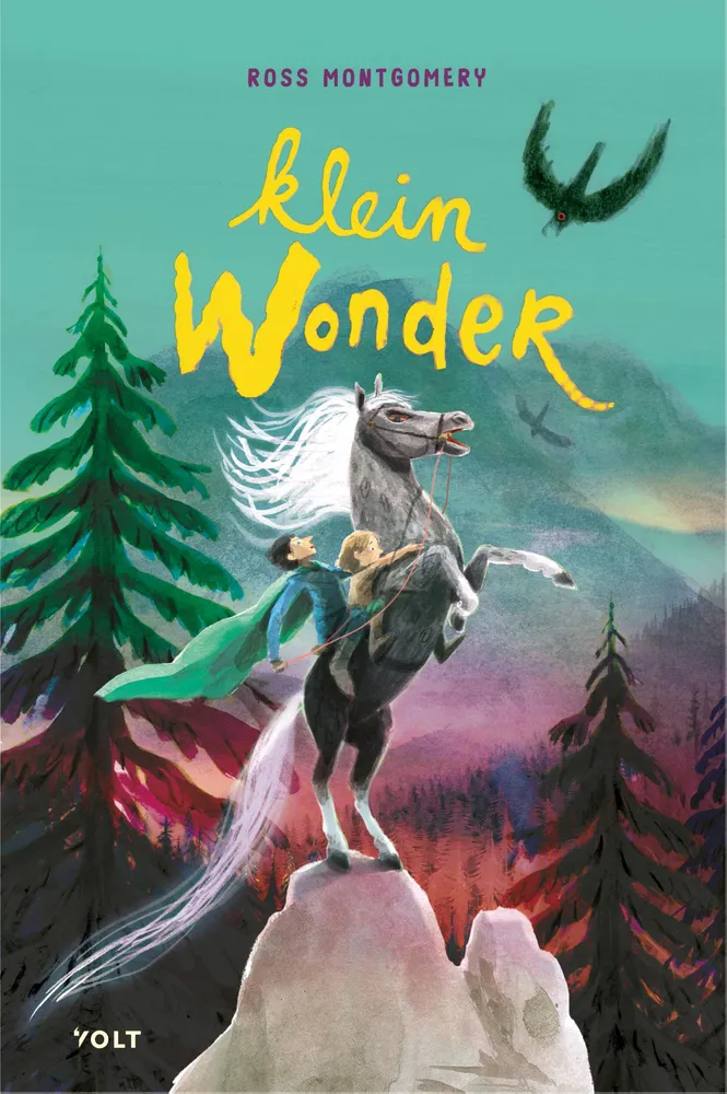 Klein wonder | 9789062226726 Klein wonder