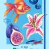 In mijn schetsboek - Tekentips en creatieve ideeën | 9789493476431