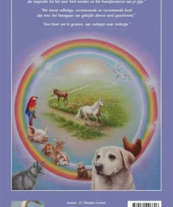 Alternative view of Zielepijn