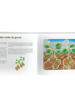 Alternative view of De vuurvogel van Thaos