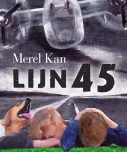 Lijn 45