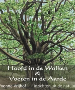 Hoofd in de wolken, voeten in de aarde