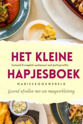 Het kleine hapjesboek na je maagverkleining
