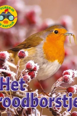 Het roodborstje