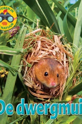 De dwergmuis