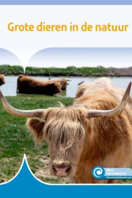 Grote dieren in de natuur
