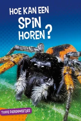 Hoe kan een spin horen?