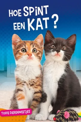 Hoe spint een kat?